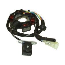 6 pôles Magneto Stator pour