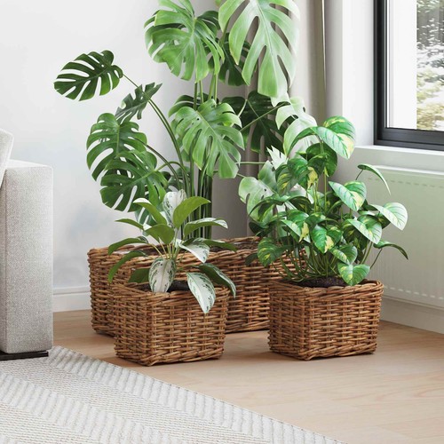 Panier plantation avec - panier,