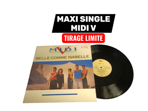 Disque maxi tours vinyle 12 - disque,