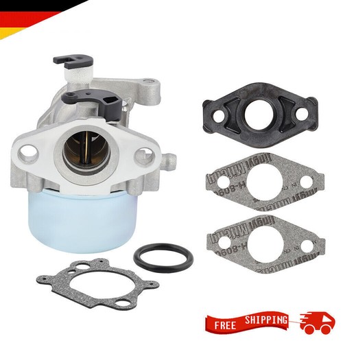 Carburateur 799871 pour