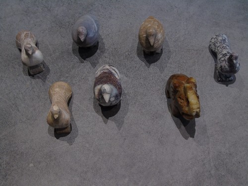 Lot oiseaux pigeons et - 6,
