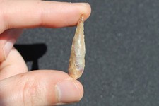 Préhistoire Néolithique