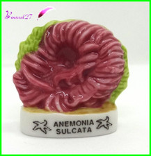 Feve Les coquillages Shell Edition Atlas " Anemonia Sulcata # Anemone C59