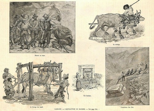Carrare extraction du - carrare,