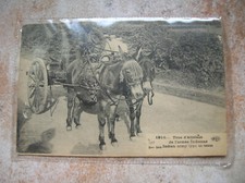 INDE CPA ATTELAGE ANES (H1)