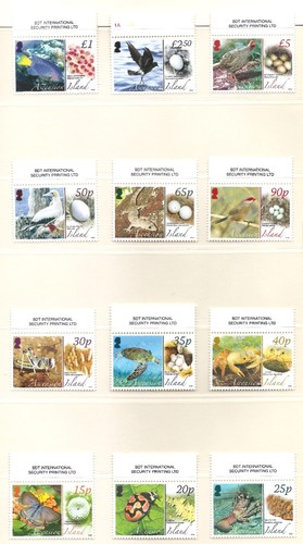 Ascension island 2008 - ascension, 926