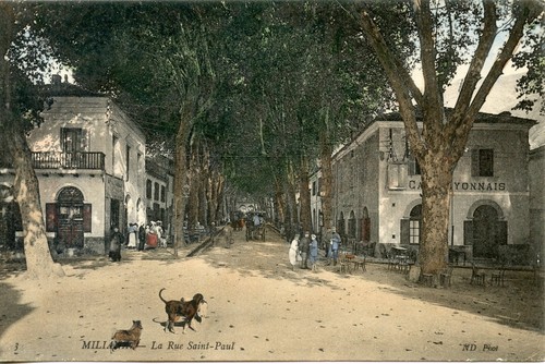 Carte postale algerie miliana - postale,