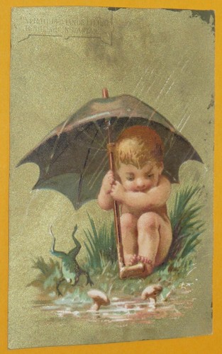 Chromo 1873 1878 liebig - liebig, serie