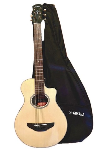 Mini guitare électrique