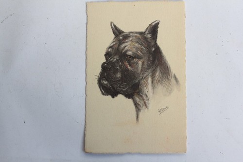 Cpa illustrée gauli chien - illustrée,