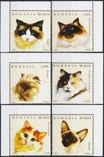Roumanie 2006 Chats Norvégien Forêt Turc Van Siamois Ragdoll Persan Birman 2