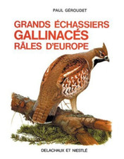 Grands echassiers gallinaces - echassiers.,