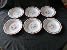VINTAGE LOT DE 6 ASSIETTES CREUSE ARCOPAL MODELE SCANIA