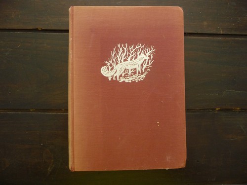 Renarde mary webb ed la - renarde;,
