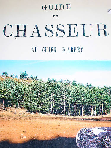 Guide chasseur chien - guide, au