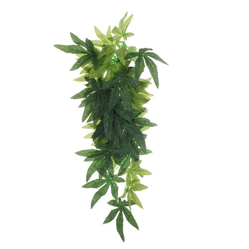 Accessoires pour gecko - accessoires,