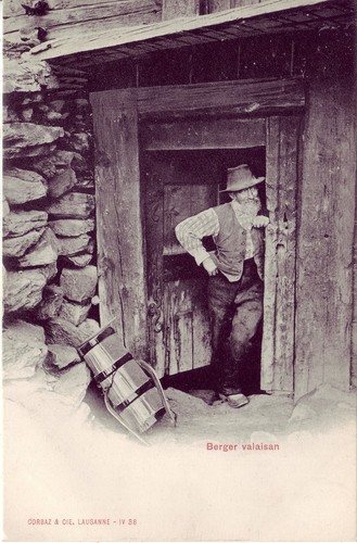 B3353 cpa suisse berger - suisse,