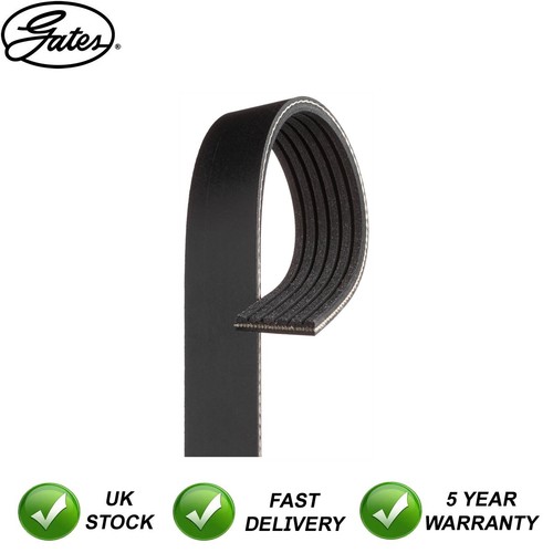 Drive belt gates - drive,