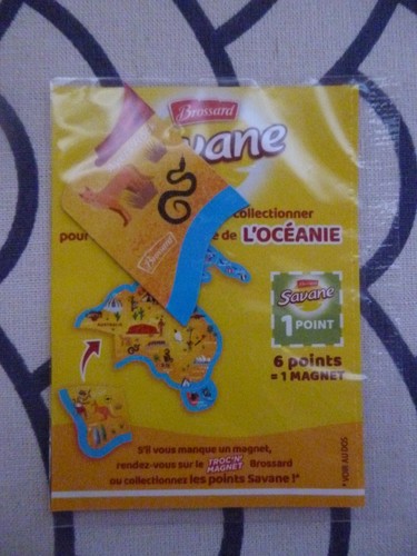 Brossard savane magnets - brossard,