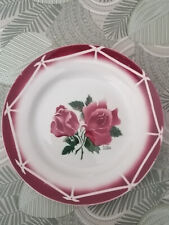 ASSIETTE ANCIENNE DIGOIN SARREGUEMINES CIBON D. 22.5cm ANTIQUE FRENCH PLATE - 1