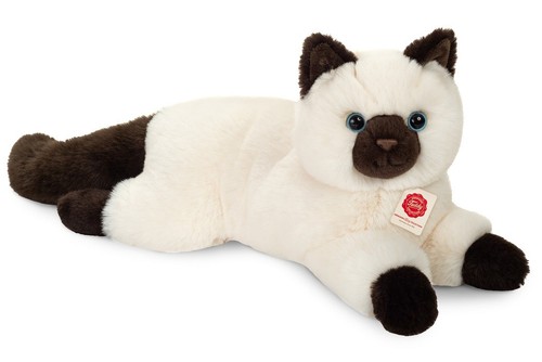 Chat birmanie teddy - de, hermann