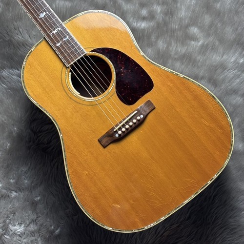Gibson dlx - gibson,