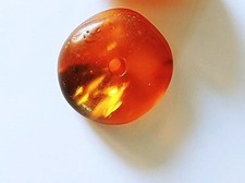 Perle ancienne ambre