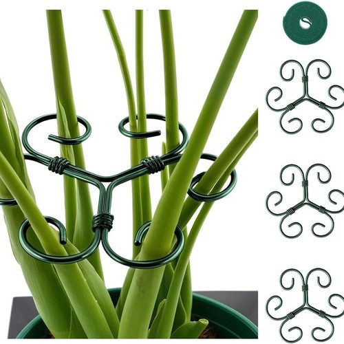 Lot supports monstera - de, en