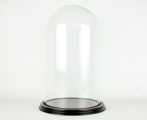 Cloche exposition verre - cloche, d'exposition