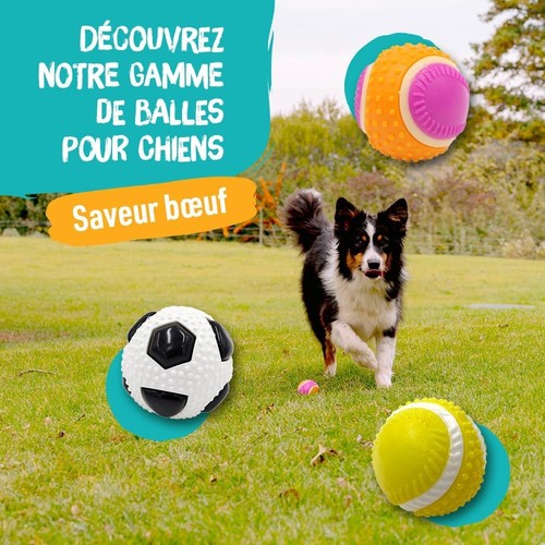 Aimé balle pour chien 5 - 5, en