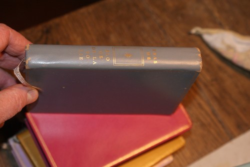 Eloge folie erasme - eloge, folie,