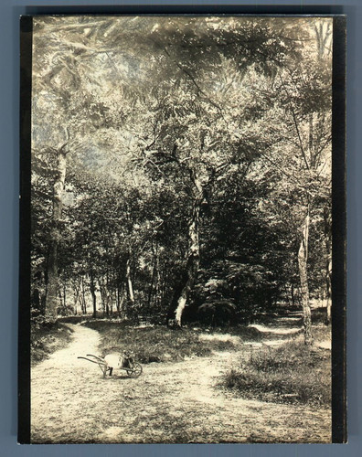 Petite brouette vintage - petite,