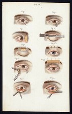 Cabinet curiosité planche
