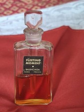 Fleeting Moment ( La Fuite des