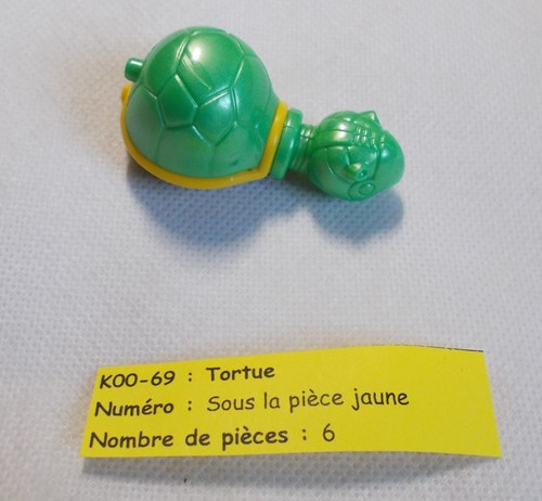 Kinder tortue sur - tortue,