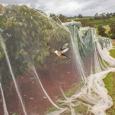 Filet de protection de jardin anti-oiseaux pour plantes ?? usage jardin