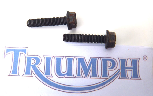 Triumph sprint st955 - triumph,