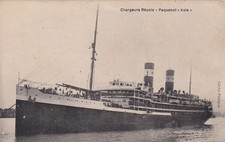 🦬Carte Postale / Postcard /