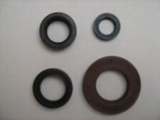 45041006260 Série Paraoli