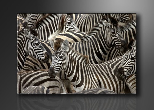 Images sur toile - , 120
