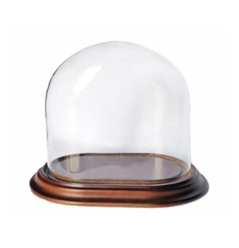 Cloche verre ovale avec - cloche,