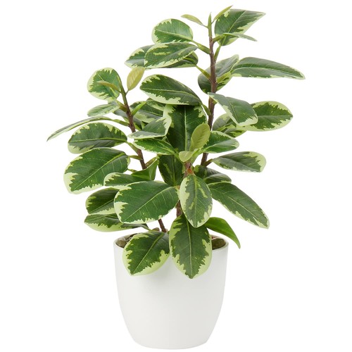 Plante artificielle pot - plante,