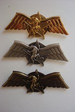 Insignes Lot Brevets