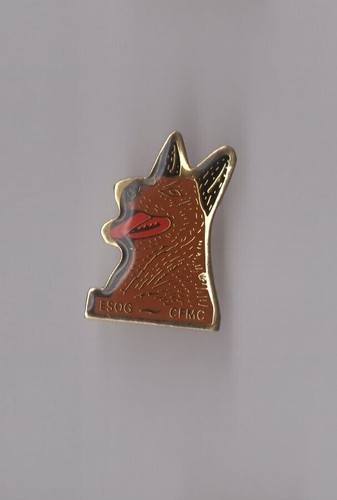 Pin police esog - pin's,