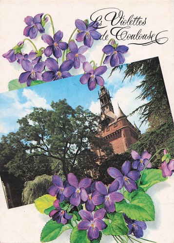 Toulouse les violettes de - 31,
