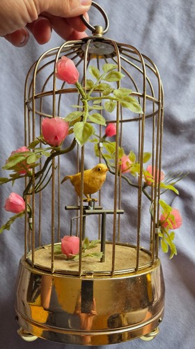 Cage oiseau kitsch boîte - oiseau,