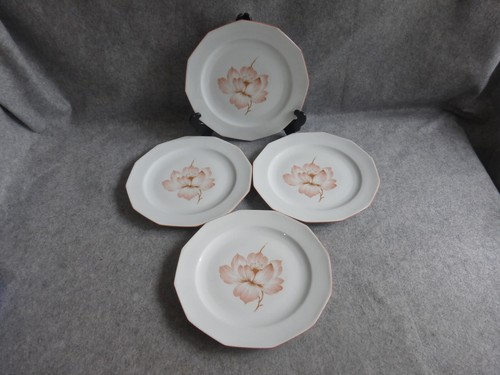 Assiettes plates porcelaine - plates,