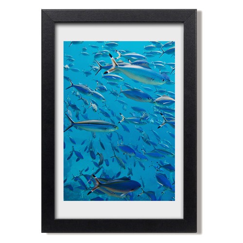 Tulup photo cadre - cadre, 20x30cm