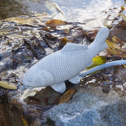 Poisson koï avec cours - , d'eau