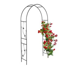 Arche rosier pergola - arche,